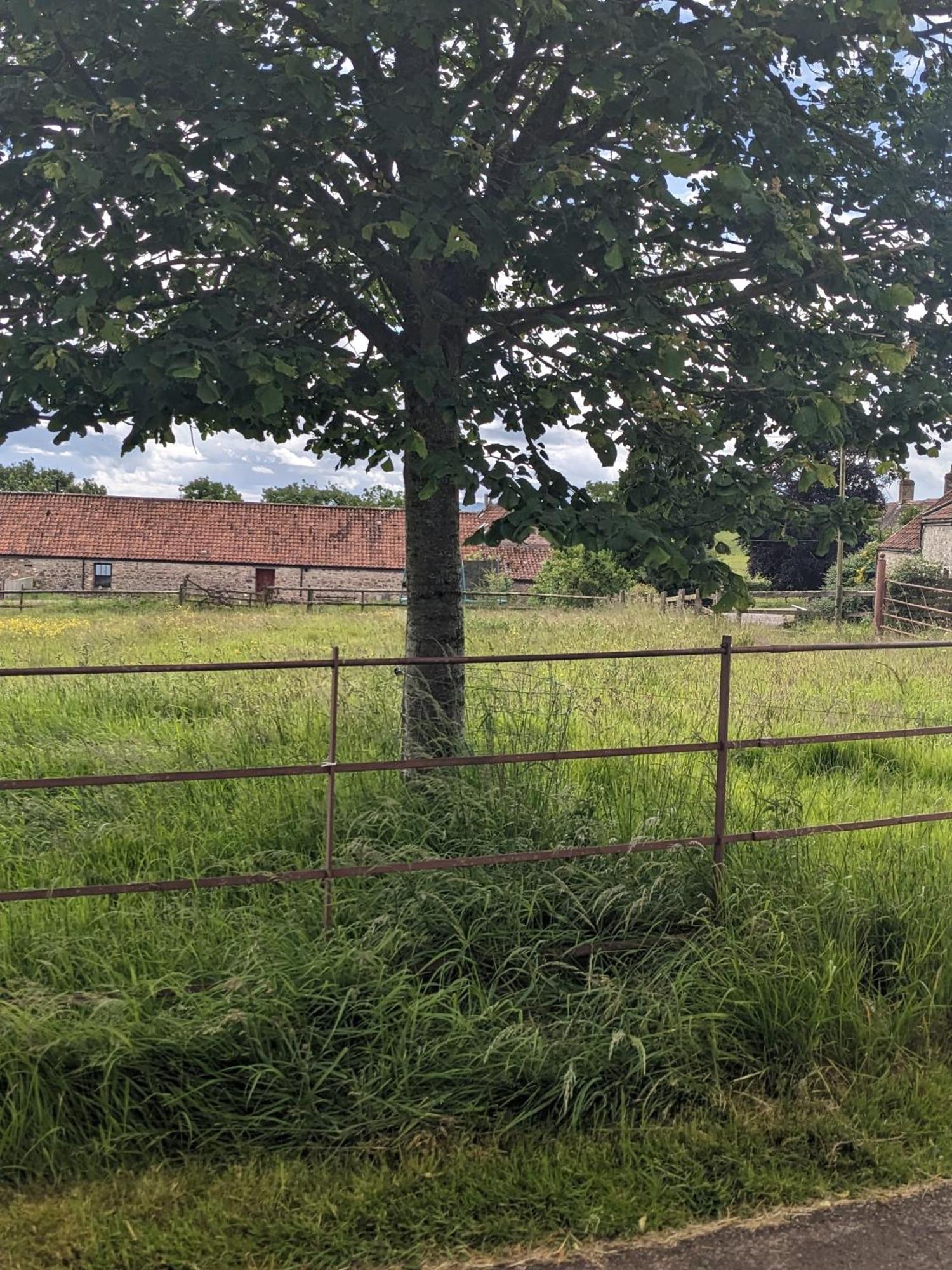 Regilbury Court, Grooms House ブリストル エクステリア 写真